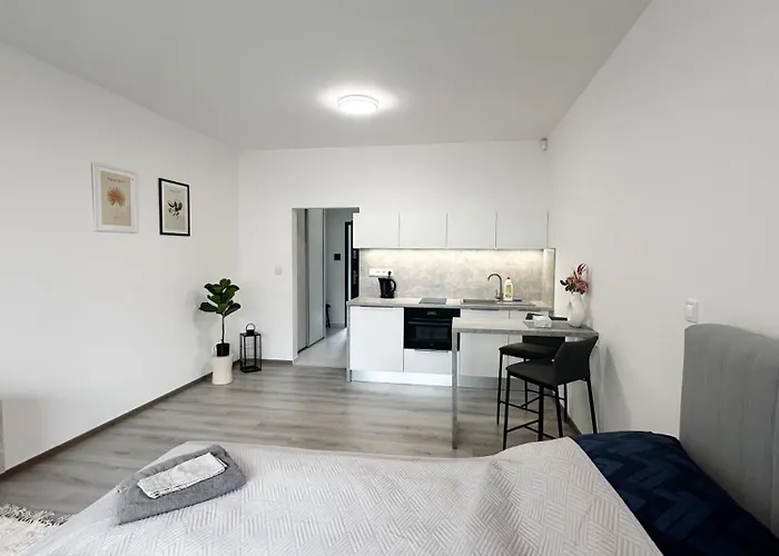 Apartmán Dmr Parkview